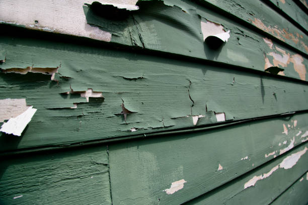 Newark, CA Siding Installation & Repair Company